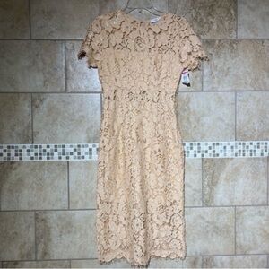 NSR Lace MIDI Cocktail Evening Party Dress S